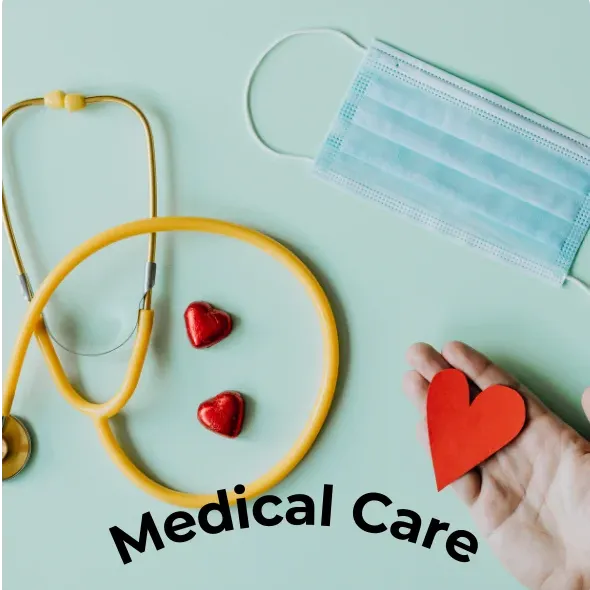 Medical Care