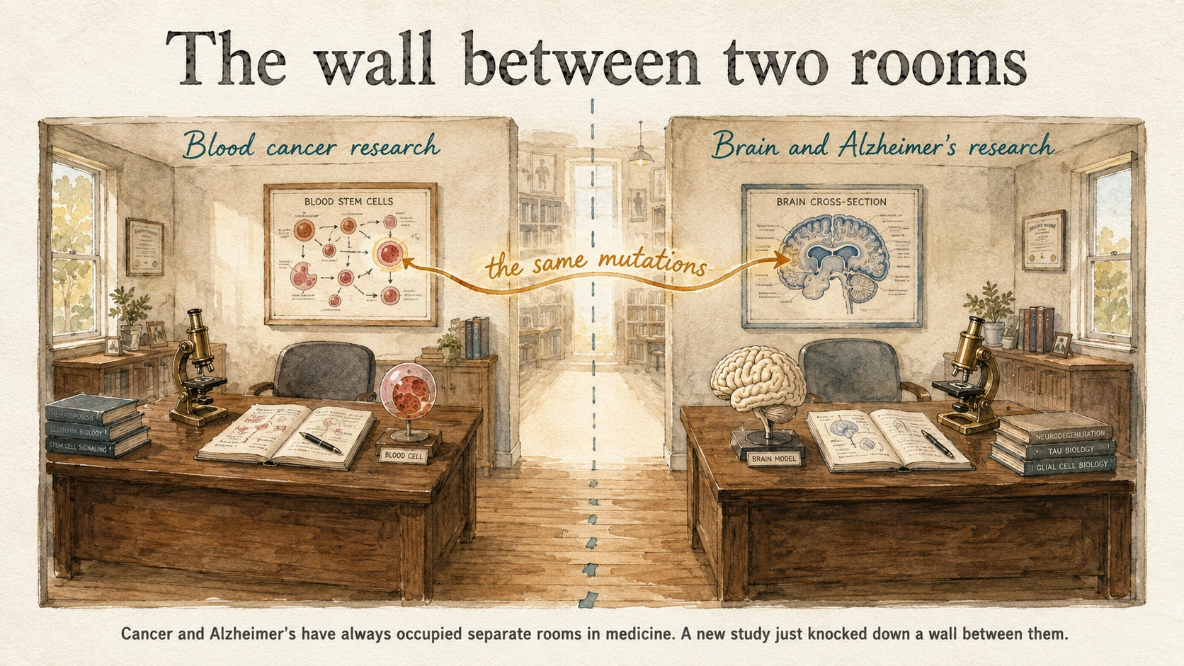 Alzheimer's and Blood Cancer May Share the Same Genetic Root