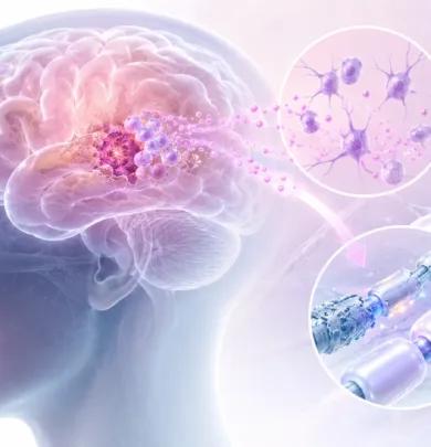 A Stress Hormone May Help the Brain Repair Itself