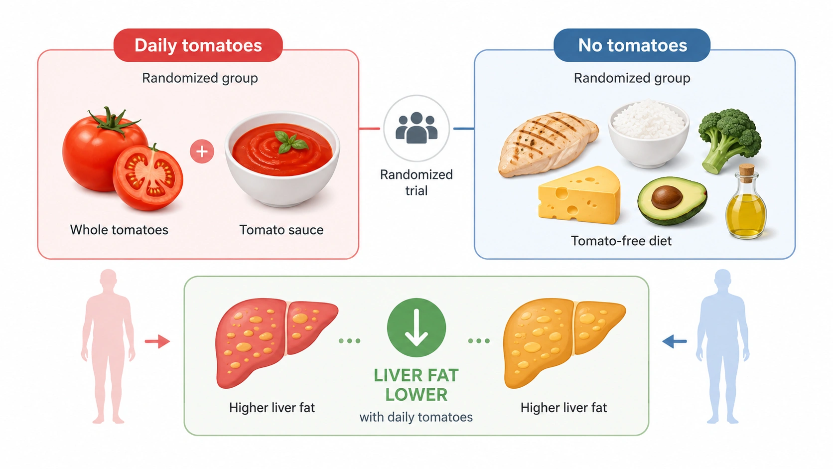 Tomatoes Linked to Less Liver Fat in Fatty Liver Disease